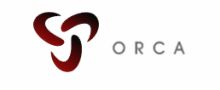 ORCA Websites Franchise Opportunity