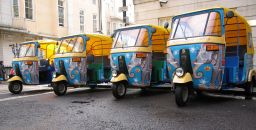 Raccoon Vehicle Wrapping Franchise