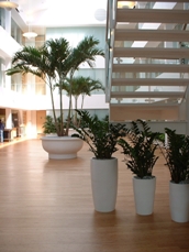 Urban Planters Franchise Opportunity