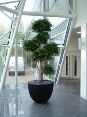 Urban Planters Franchise Opportunity