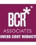 BCR ASSOCIATES -  A CHANCE TO TRY BEFORE YOU BUY!