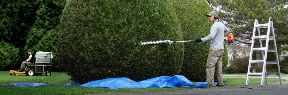 Garden and Lawn Franchises and Business Opportunities