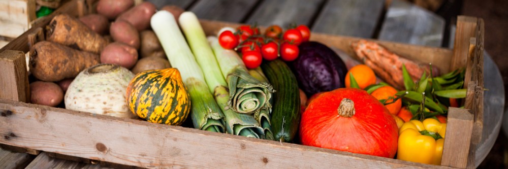Organic and Green Franchises, Organic and Green Foods Business and Organic Products Franchises