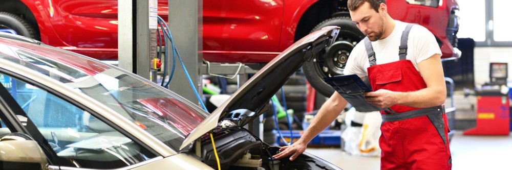 Car Franchises and Business Opportunities