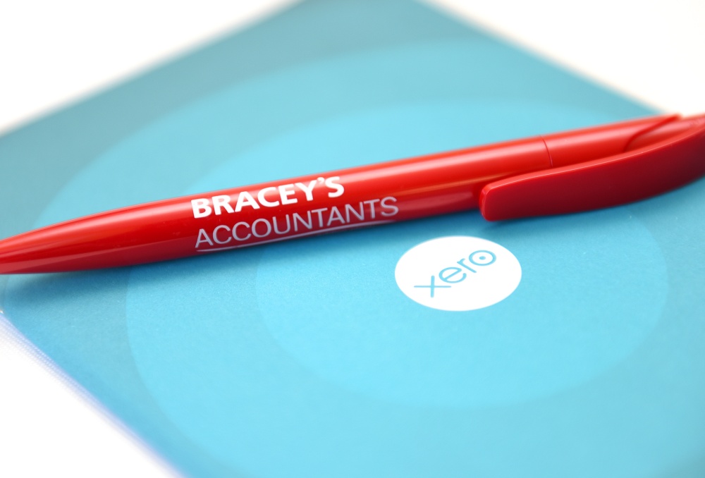 Bracey's Accountancy Business | Accounting Franchise