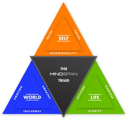 Mindspan Franchise
