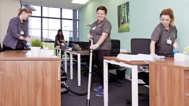 Tidy Green Clean Business | Commercial Cleaning Management Franchise Tidy Green Clean Business | Commercial Cleaning Management Franchise