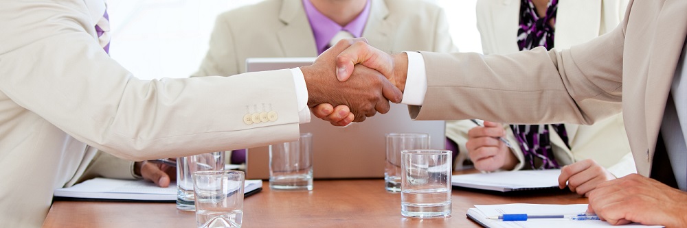 Franchise Businesses for Sale